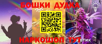 spice Кандалакша
