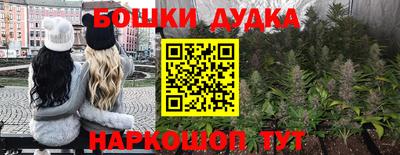 spice Кандалакша