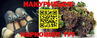 прущие грибы Канаш