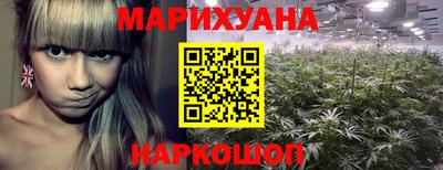 spice Кандалакша