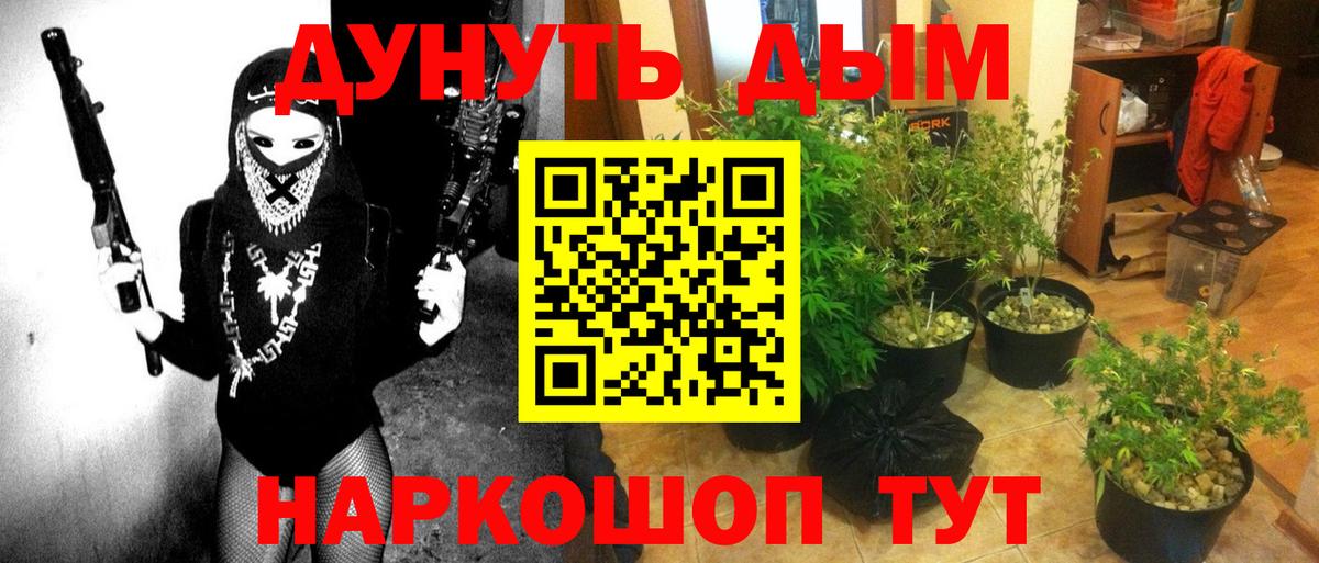 Шишки марихуана гибрид Мелеуз
